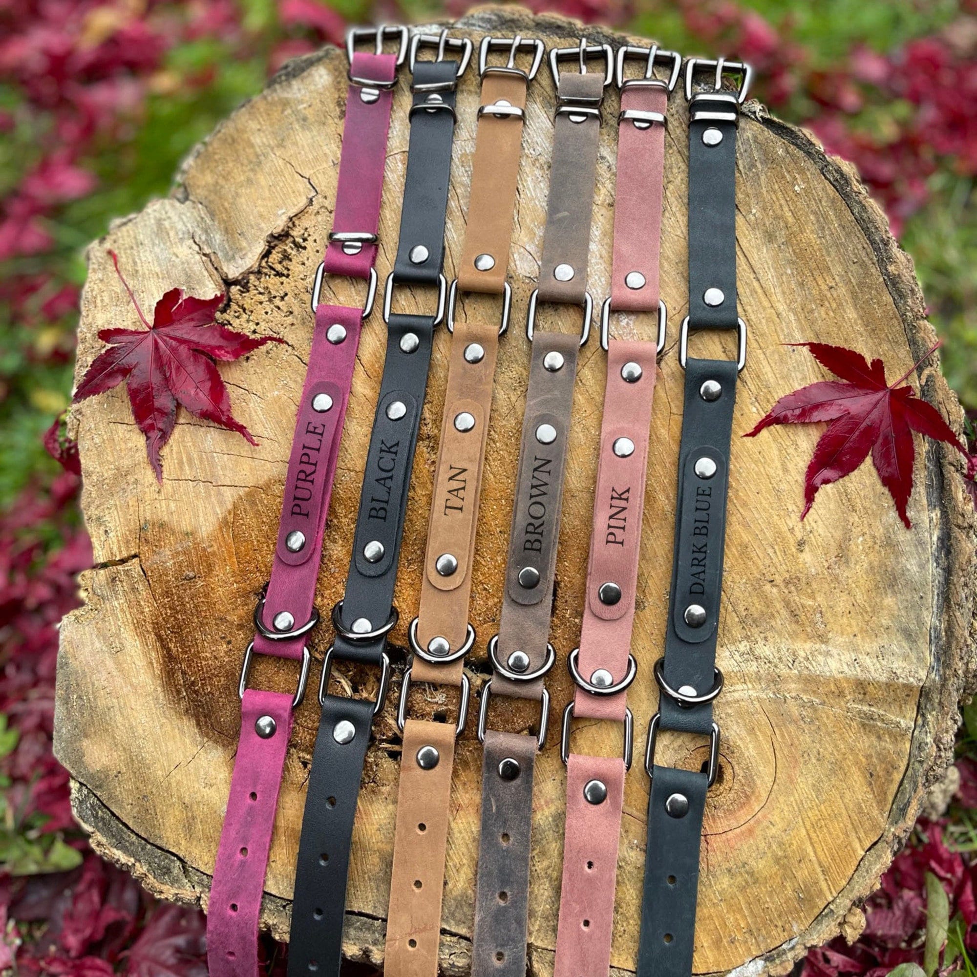 Dog Collars