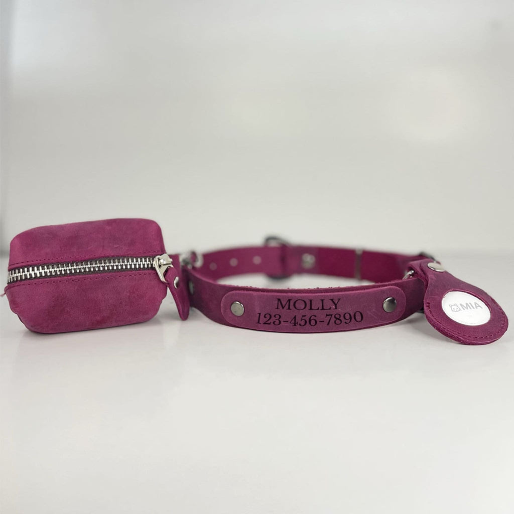 Purple dog collar with engraved name and an airtag holder