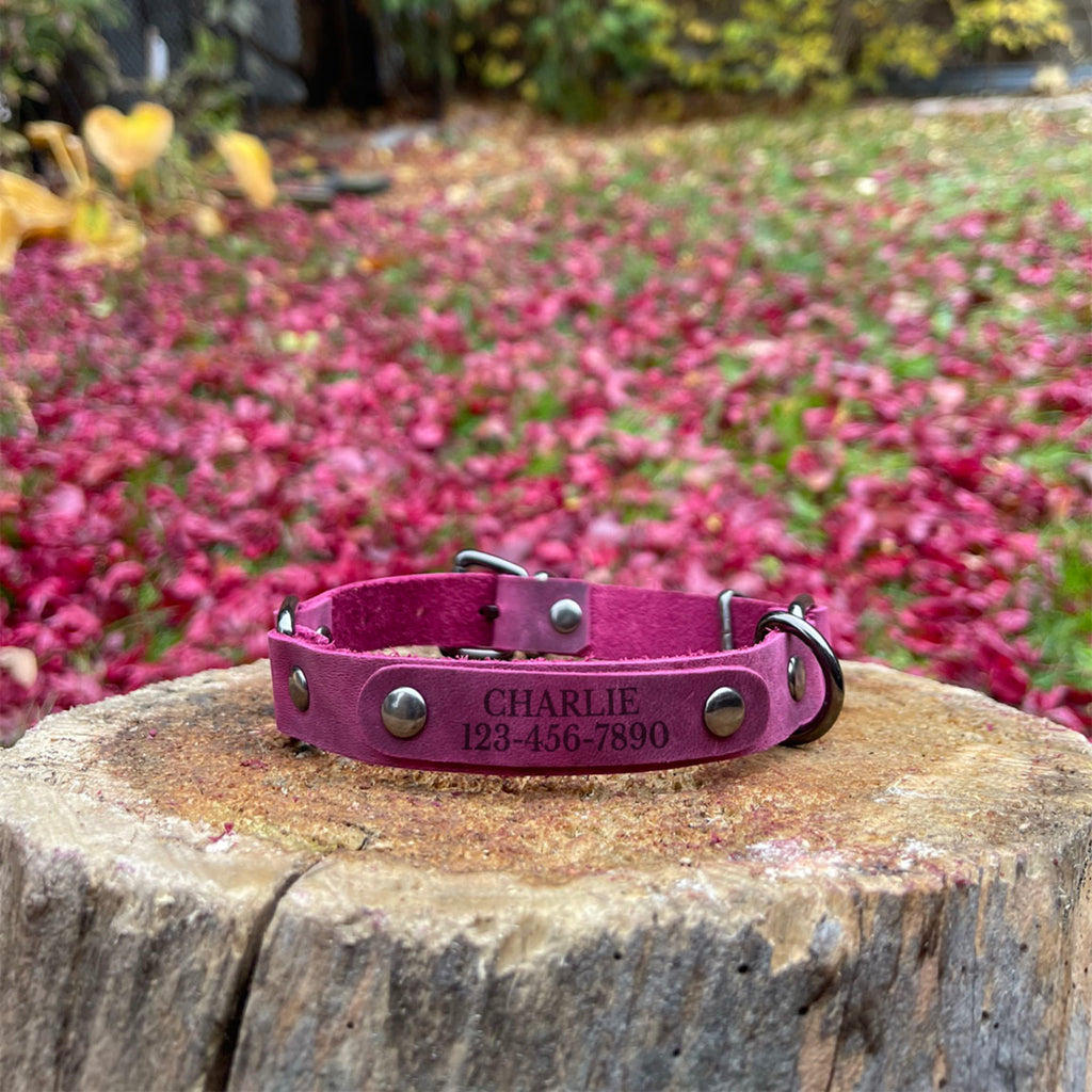 Pink collar
