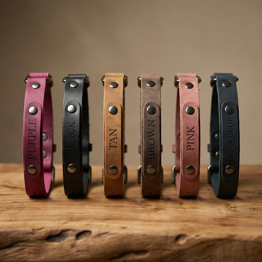 Personalized Leather Dog Collar